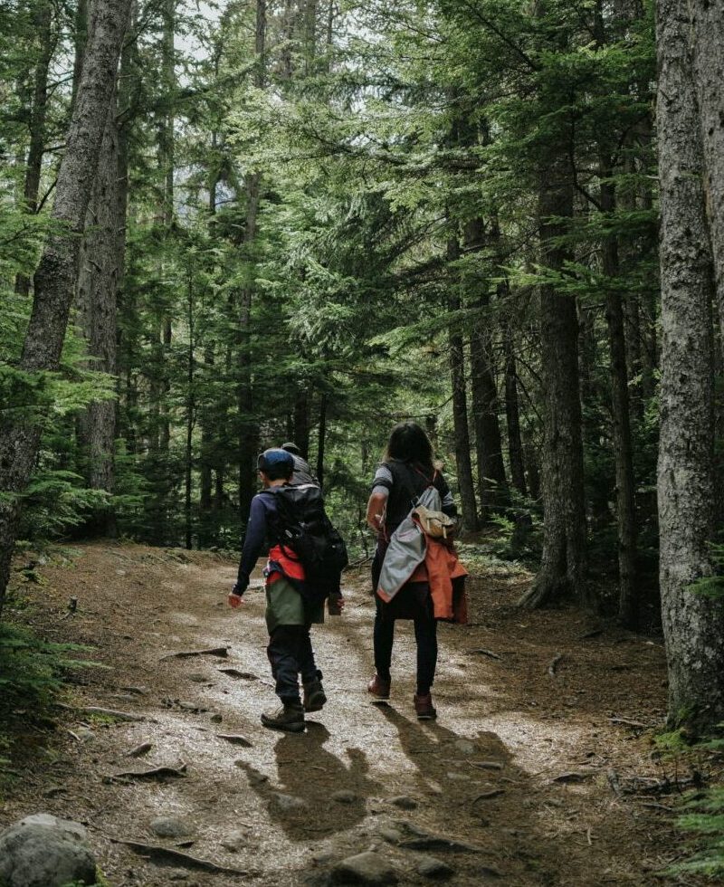 boswandeling met de familie