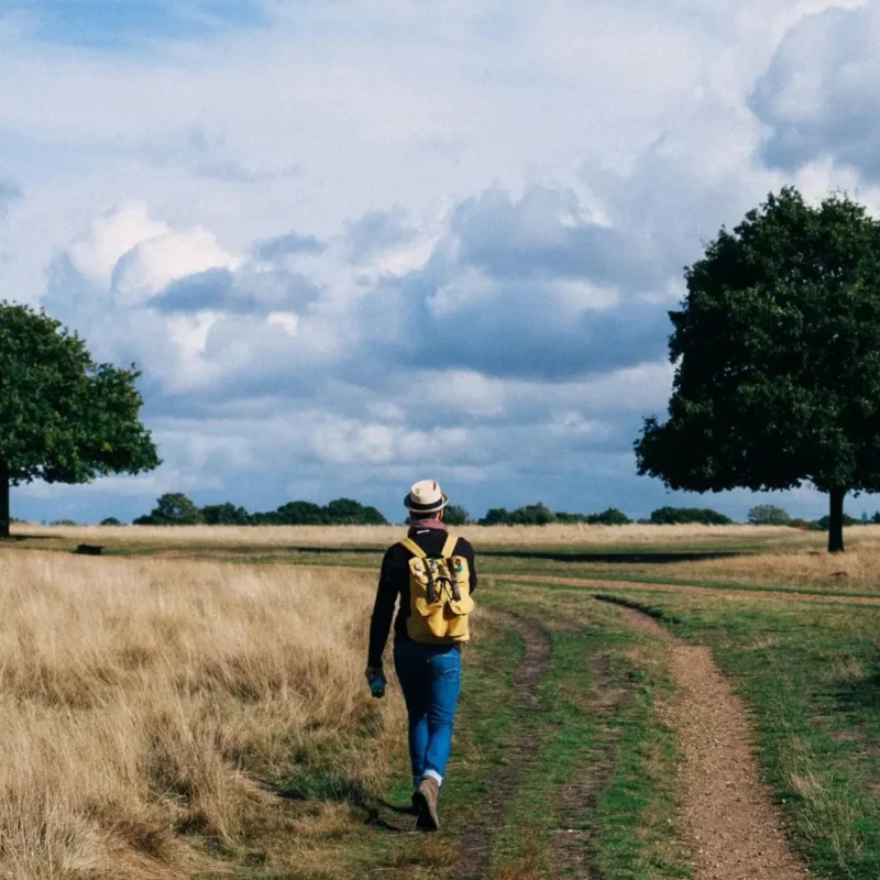 Lente-wandelen-Wandelschoenopmaat.nl_-e1711456589256.jpg